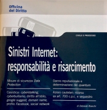 “Sinistri e Internet: responsabilità e risarcimento” per chi naviga online